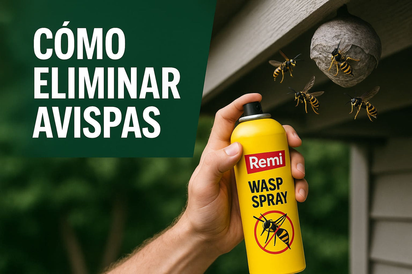 Elimitar o matar avispas