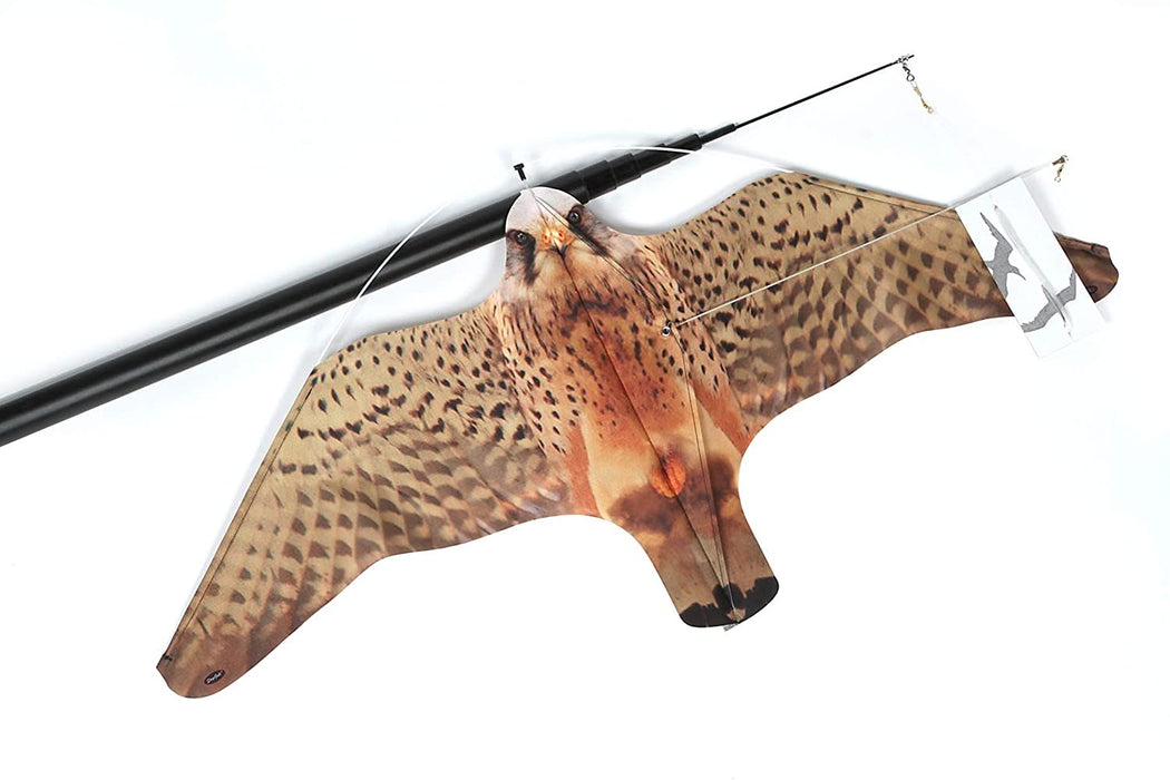 Eolo Halcón Espantapájaros
