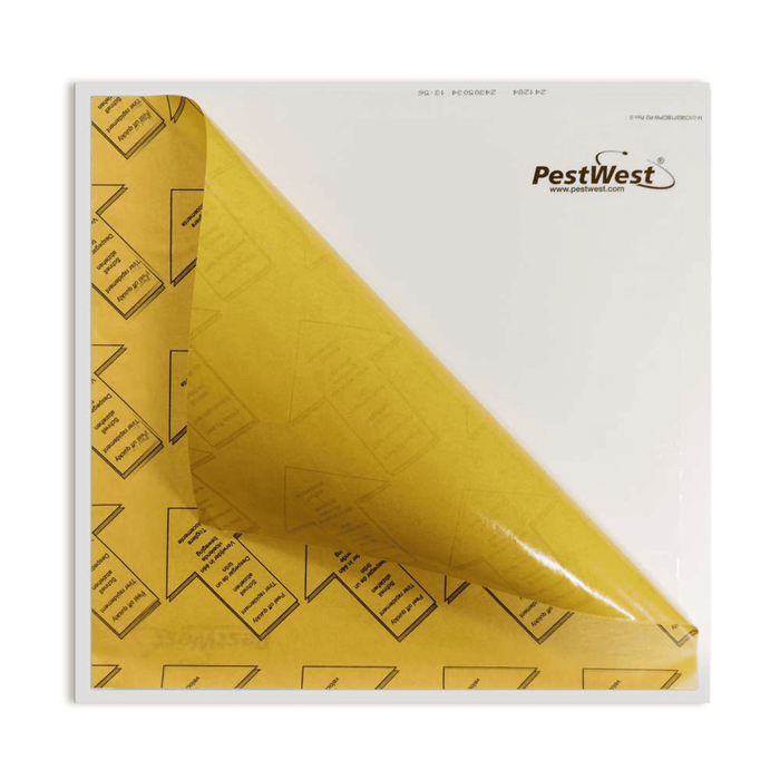 Tabla Adhesiva Sunburst - PestWest