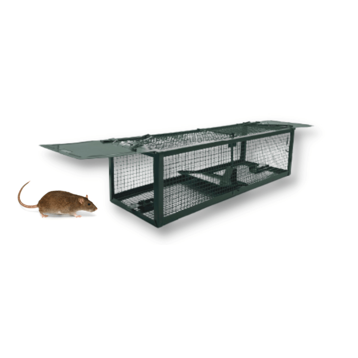 Jaula captura Ratas y Ratones - Remi Hogar