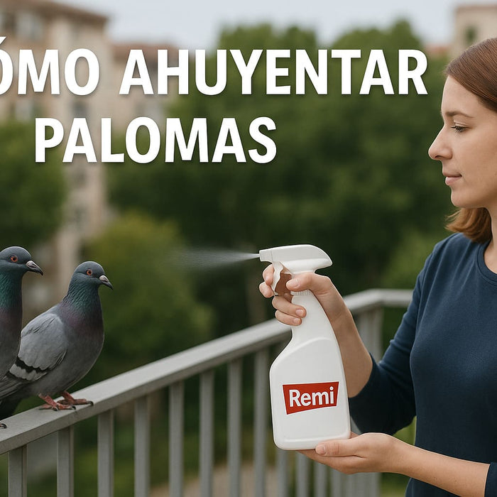 Ahuyentar palomas casa