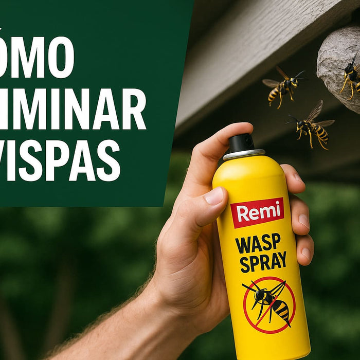 Elimitar o matar avispas