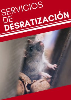Desratización - Remi Hogar