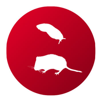 Productos para Otras Plagas Jardín y Huerto - Remi Hogar