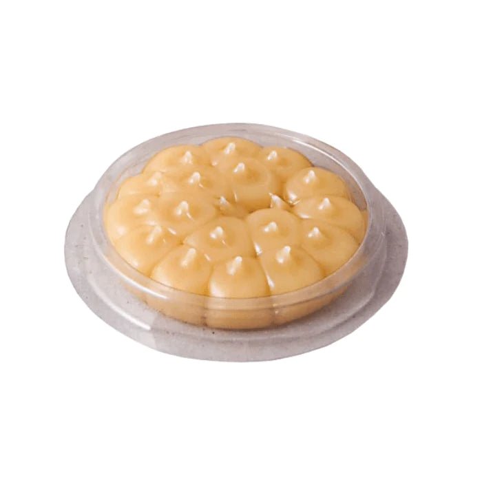 Repelentes Anti Gorriones - Remi Hogar