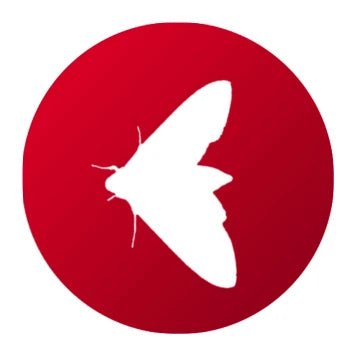 Polilla del Tabaco - Remi Hogar