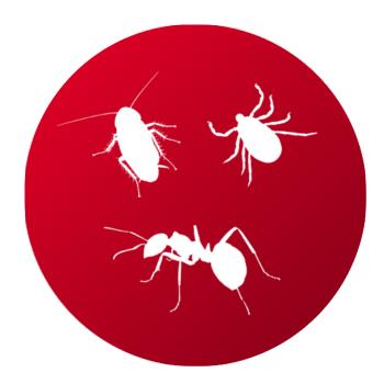 Productos para Insectos Rastreros - Remi Hogar