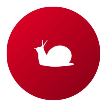 Eliminar Caracoles y Babosas - Remi Hogar