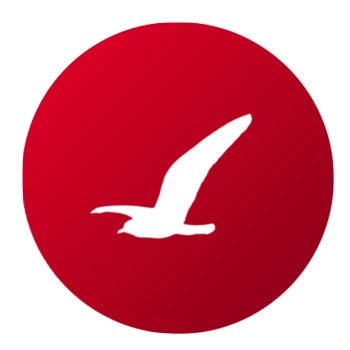 Ahuyentar Gaviotas - Remi Hogar