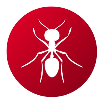 Insecticidas para hormigas - Remi Hogar