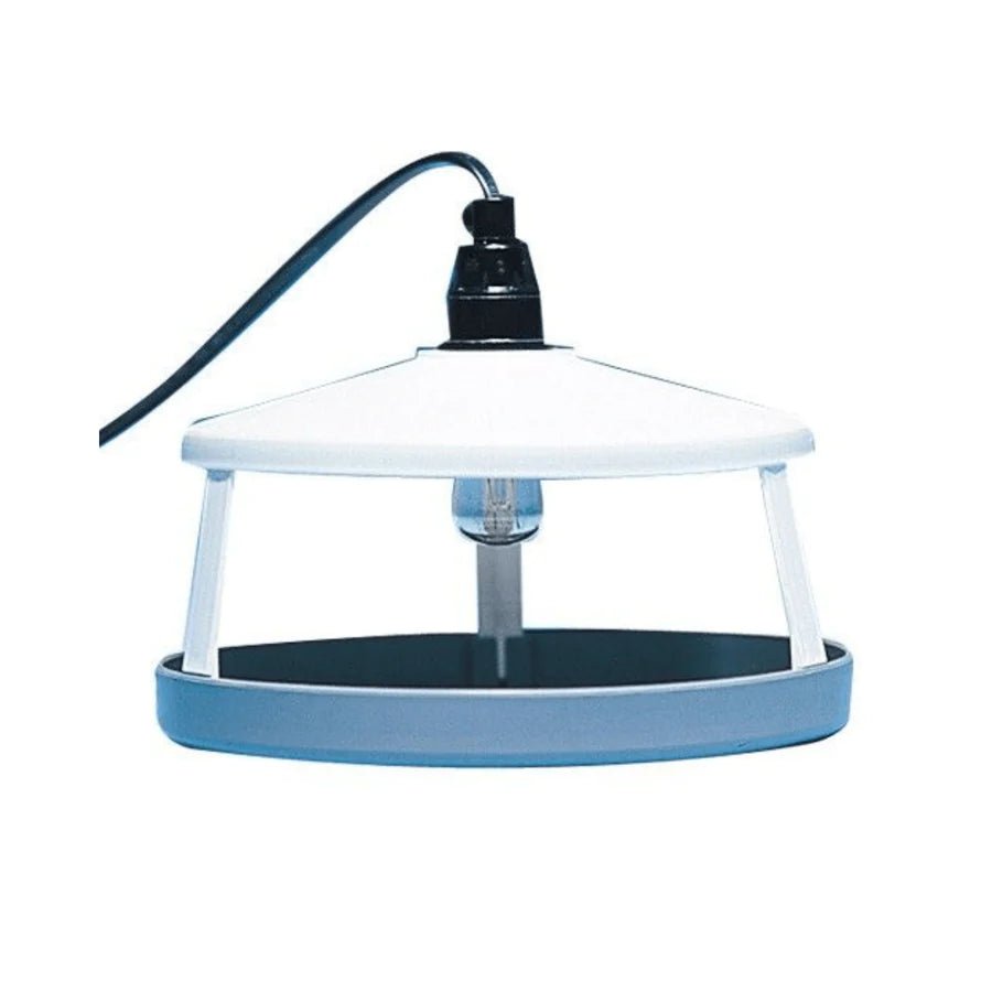 Trampa para Pulgas - Remi Hogar