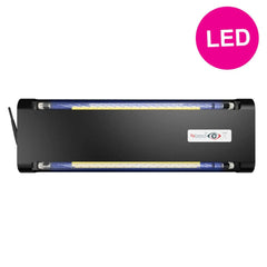 FlyDetect X LED