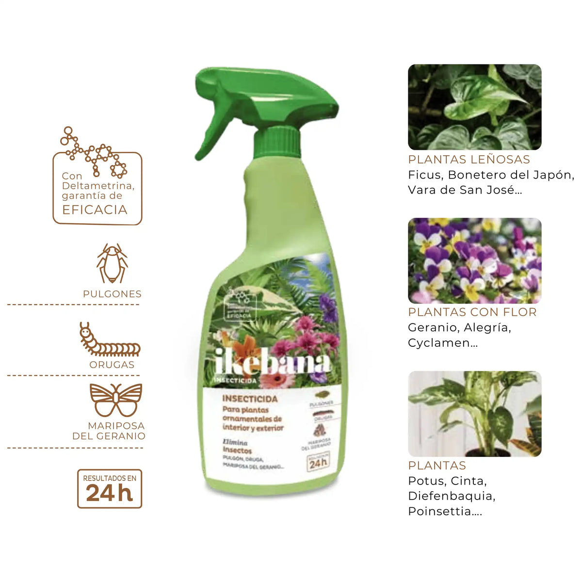 Insecticida con Deltametrina Ikebana - Quimunsa - Remi Hogar
