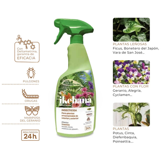 Insecticida con Deltametrina Ikebana - Quimunsa - Remi Hogar
