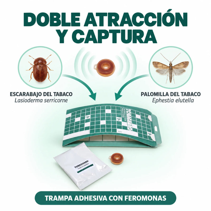 Trampas para Escarabajos y palomillas del Tabaco 10 unidades - Tobaguard