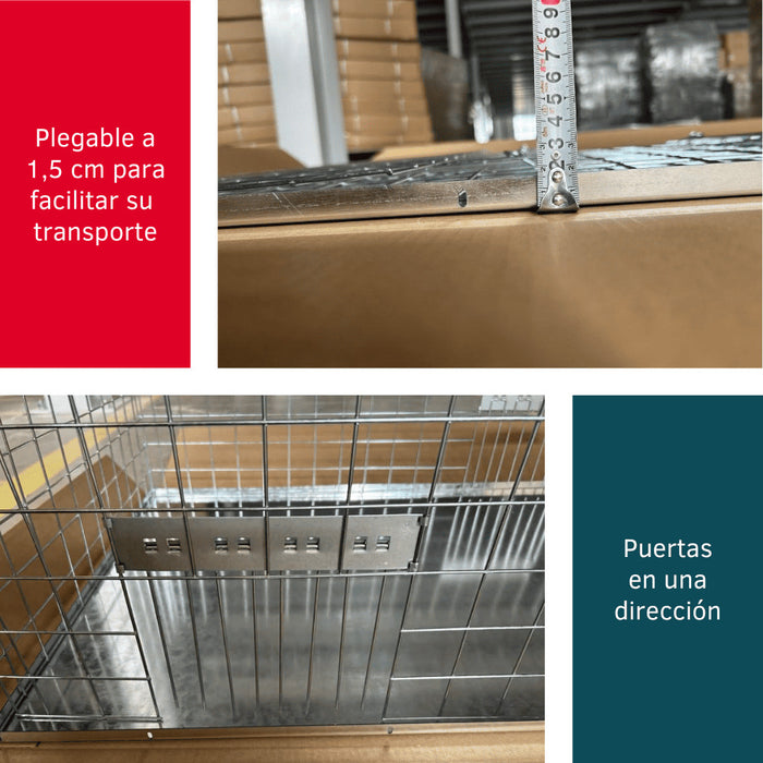 Jaula, Trampa para Palomas Plegable - Remi Hogar