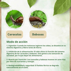 Matacaracoles, babosas y antilimacos - DOFF - Remi Hogar