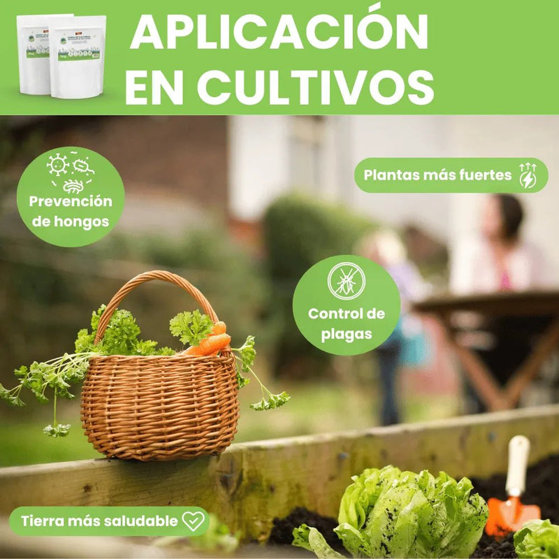 Tierra Diatomeas Micronizada - Remi Hogar - Remi Hogar