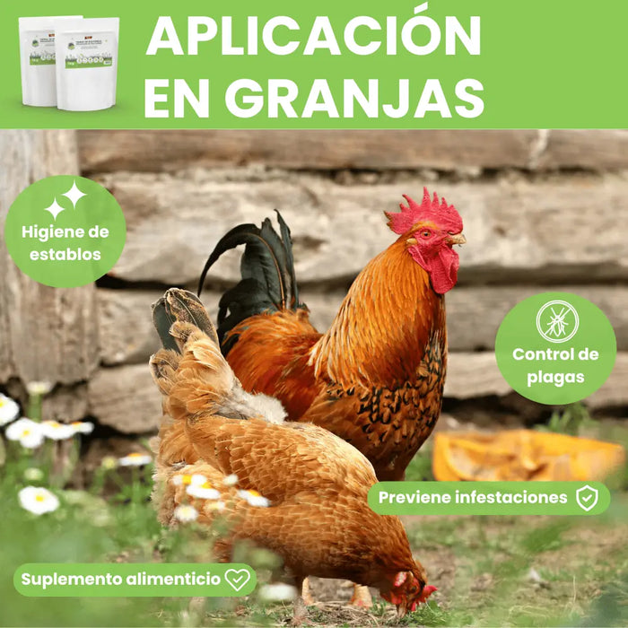 Tierra Diatomeas Micronizada - Remi Hogar