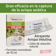 Atrayente Avispa Velutina - VespaCatch - Remi Hogar