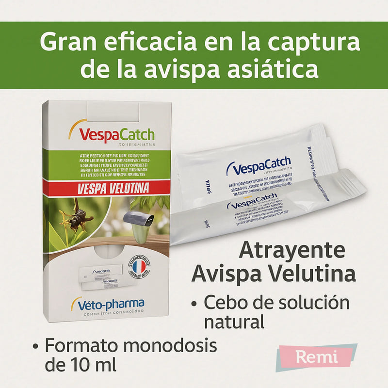 Atrayente Avispa Velutina - VespaCatch - Remi Hogar