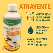 Atrayente Avispas y Avispones Avispa'Clac - Protecta - Remi Hogar