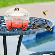 Atrayente para avispas concentrado 500 ml Preben - Masso - Remi Hogar