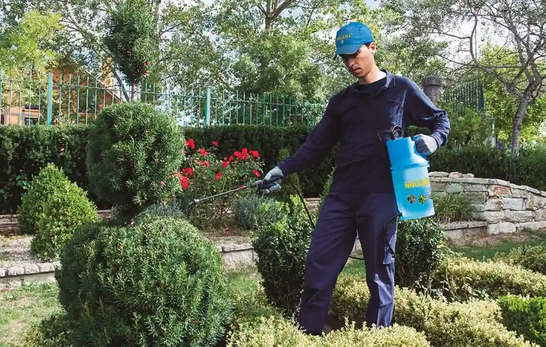 Pulverizador Berry 7 - Matabi