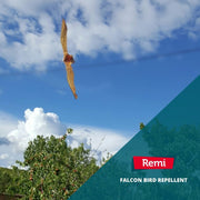 Eolo Halcón Espantapájaros - Remi Hogar