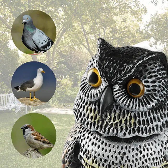 Búho Espantapájaros - Remi Hogar - Remi Hogar