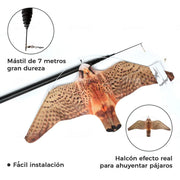 Eolo Halcón Espantapájaros - Remi Hogar
