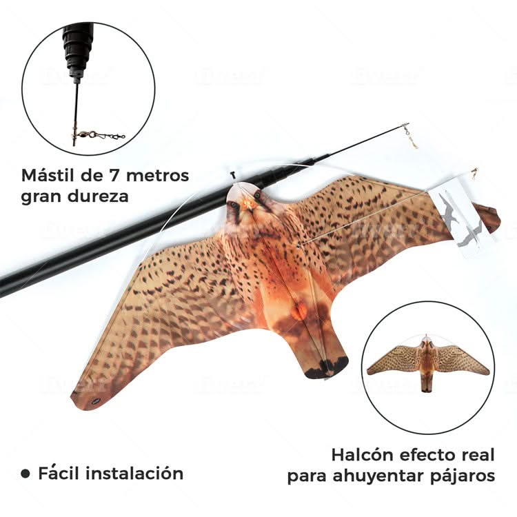Eolo Halcón Espantapájaros - Remi Hogar