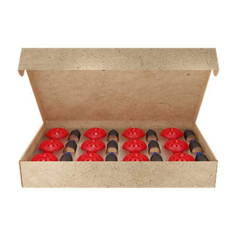 Fruit Fly Trap reutilizable moscas de la fruta/vinagre - AF - Remi Hogar