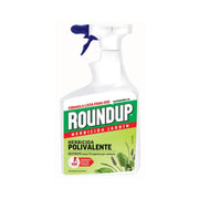 Herbicida Polivalente de Jardín - Roundup - Remi Hogar
