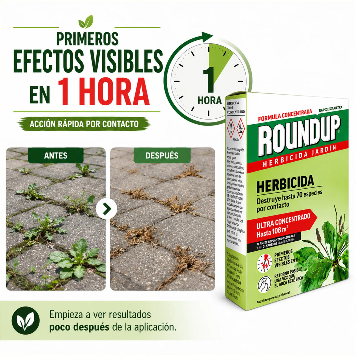 Herbicida ecológico Roundup 250 ml concentrado para eliminar malas hierbas de forma eficaz en 1 hora