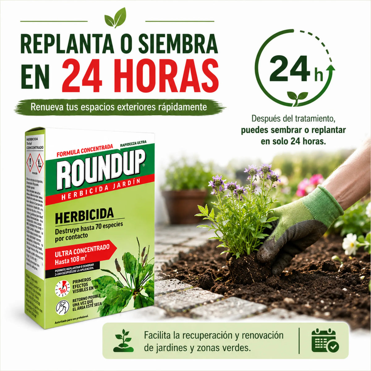 Herbicida ecológico Roundup 250 ml concentrado para eliminar malas hierbas de forma eficaz en 1 hora