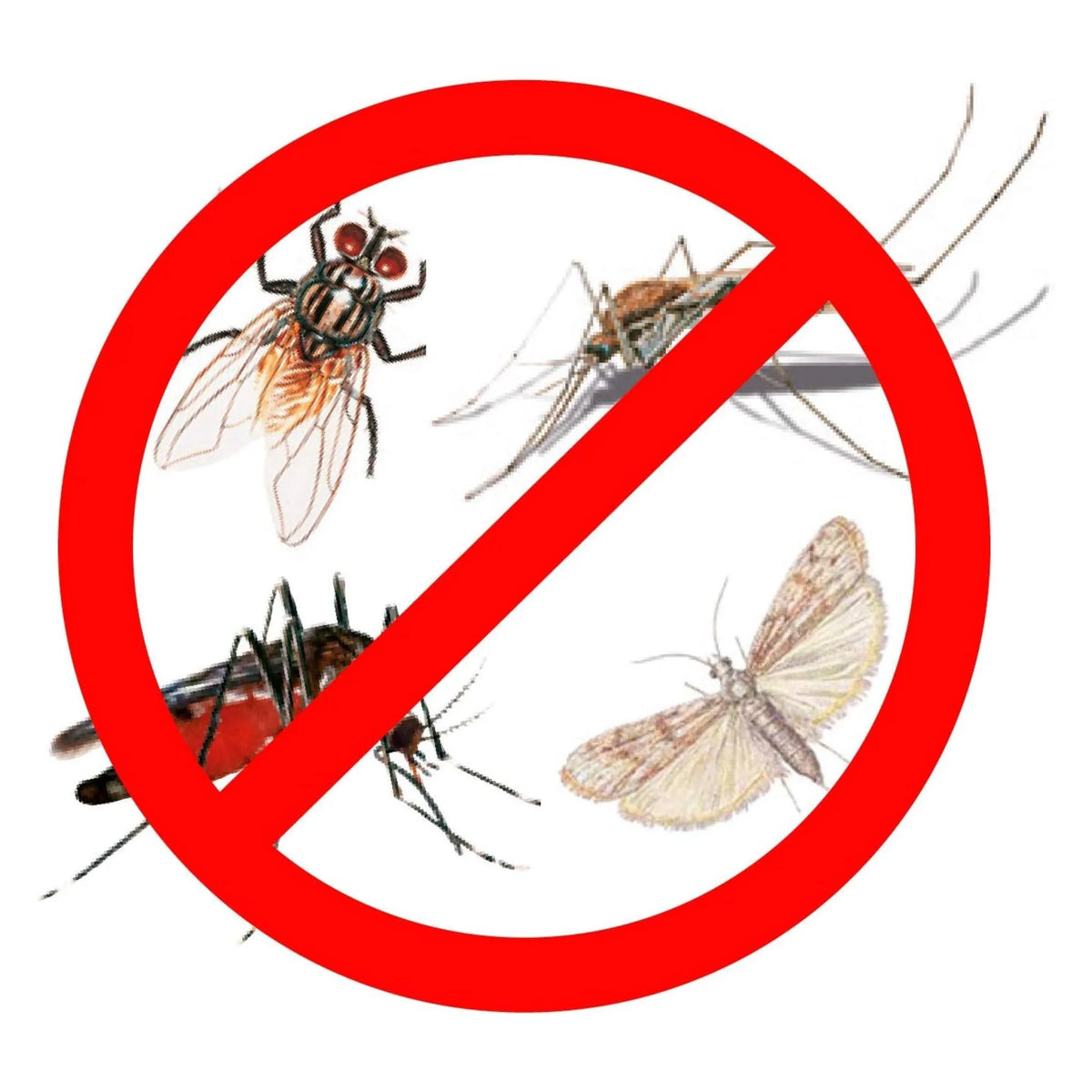 Insecticida Antimosquitos para Exteriores Bayer 500ml