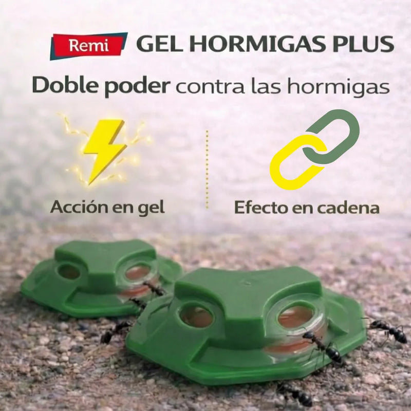 Pack 4 Trampas Gel Hormigas Plus - Remi Hogar - Remi Hogar
