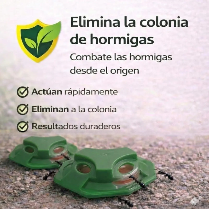 Pack 4 Trampas Gel Hormigas Plus - Remi Hogar - Remi Hogar