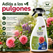Insecticida Ecológico para Pulgones en huevos, larvas y adultos de forma eficaz