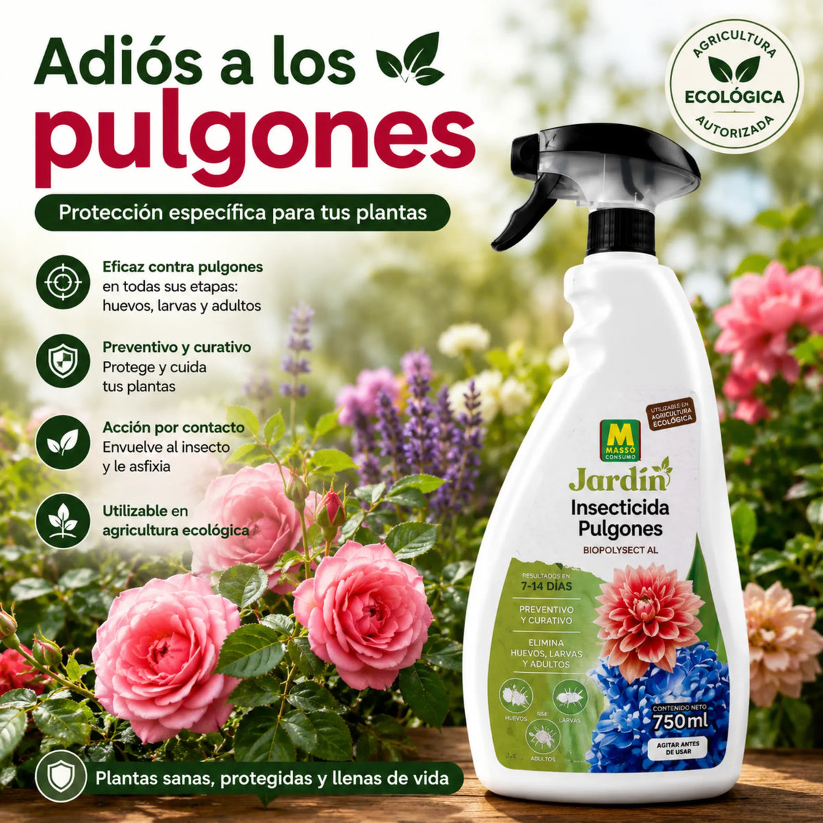 Insecticida Ecológico para Pulgones en huevos, larvas y adultos de forma eficaz