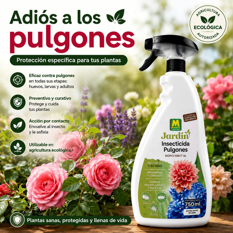 Insecticida Ecológico para Pulgones en huevos, larvas y adultos de forma eficaz