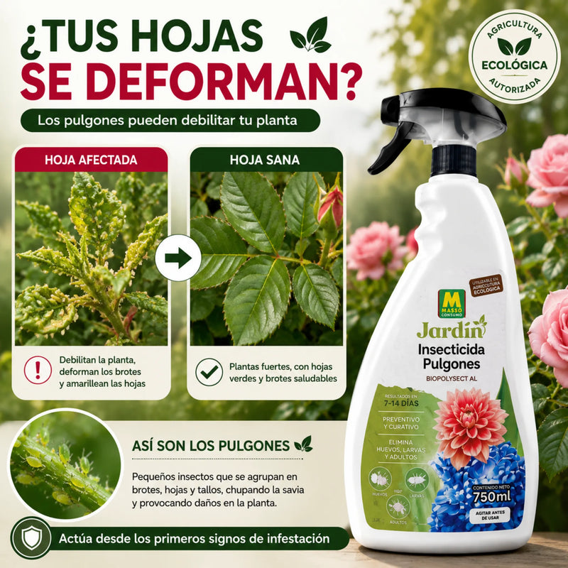 Insecticida Ecológico para Pulgones en huevos, larvas y adultos de forma eficaz