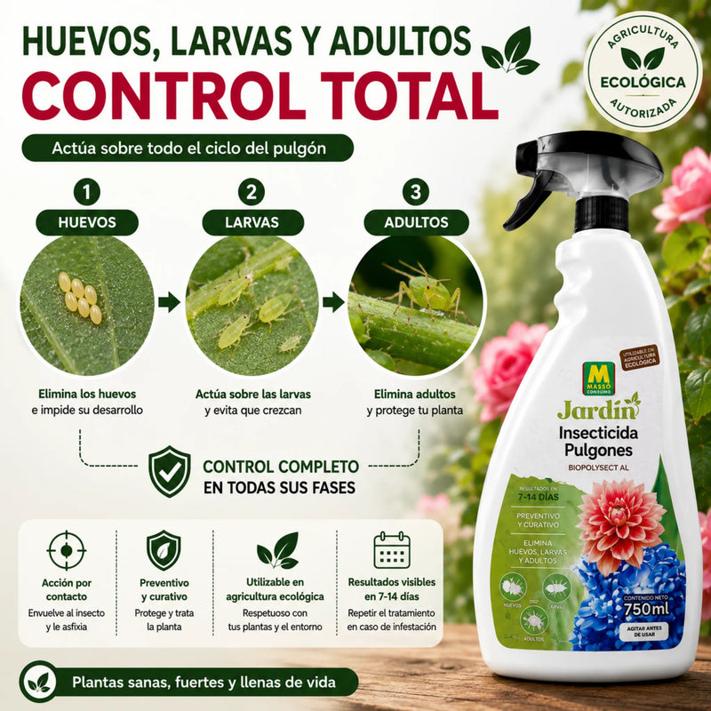 Insecticida Ecológico para Pulgones en huevos, larvas y adultos de forma eficaz