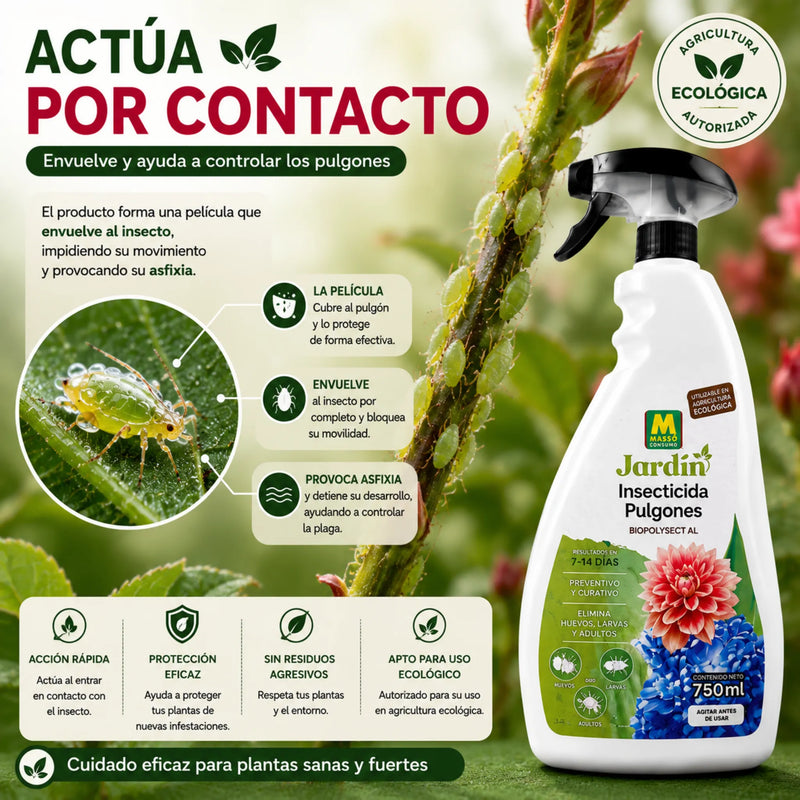 Insecticida Ecológico para Pulgones en huevos, larvas y adultos de forma eficaz