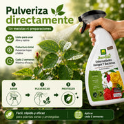Pistola Enfermedades Hongos y Bacterias en plantas ornamentales y hortícolas 750 ml Massó