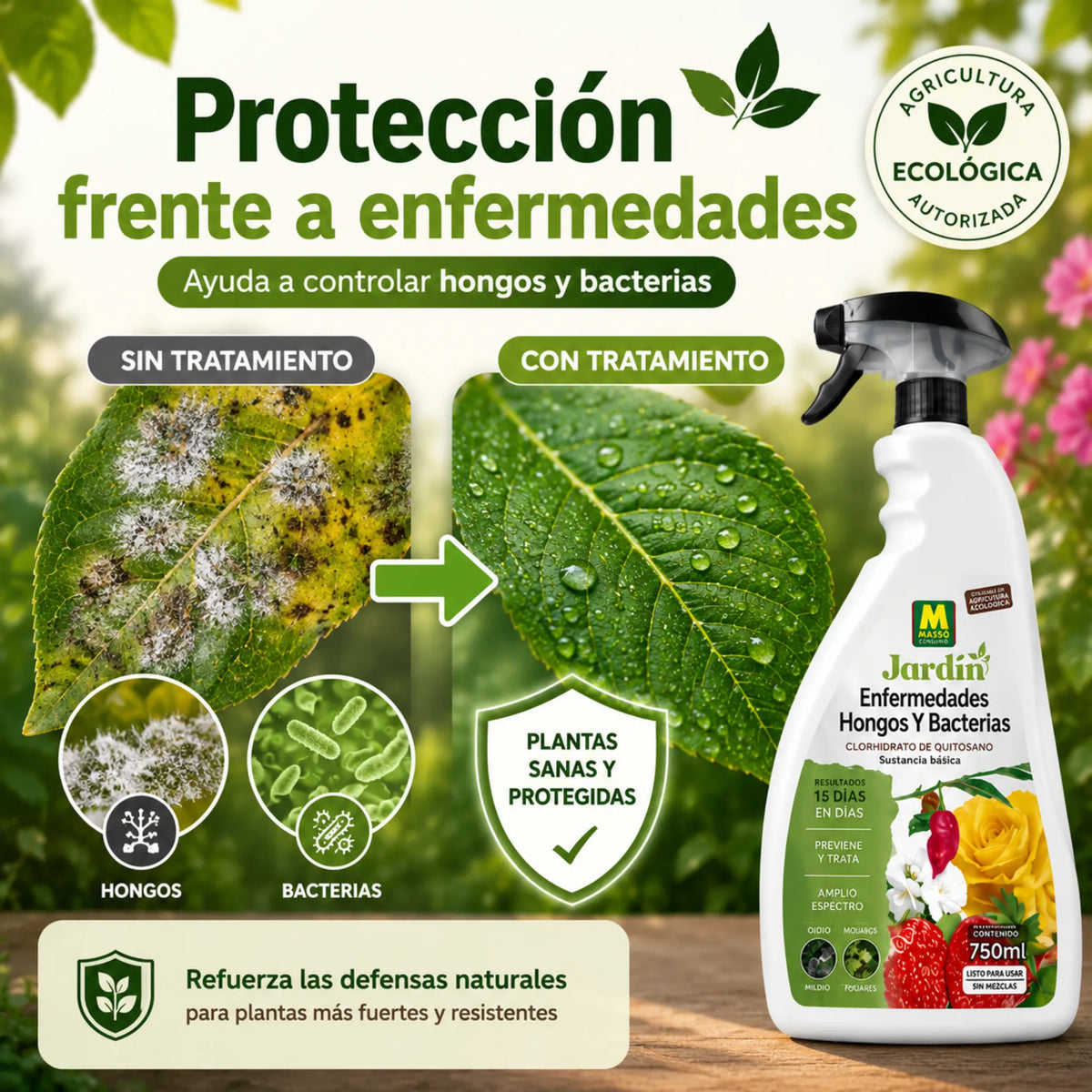 Pistola Enfermedades Hongos y Bacterias en plantas ornamentales y hortícolas 750 ml Massó