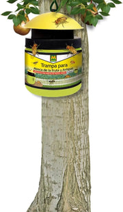 Preben Trampa para Avispas y Mosca De La Fruta - Masso - Remi Hogar