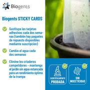 Pack 10 unidades recambios adhesivos para mantener la eficacia de la trampa BG-GAT