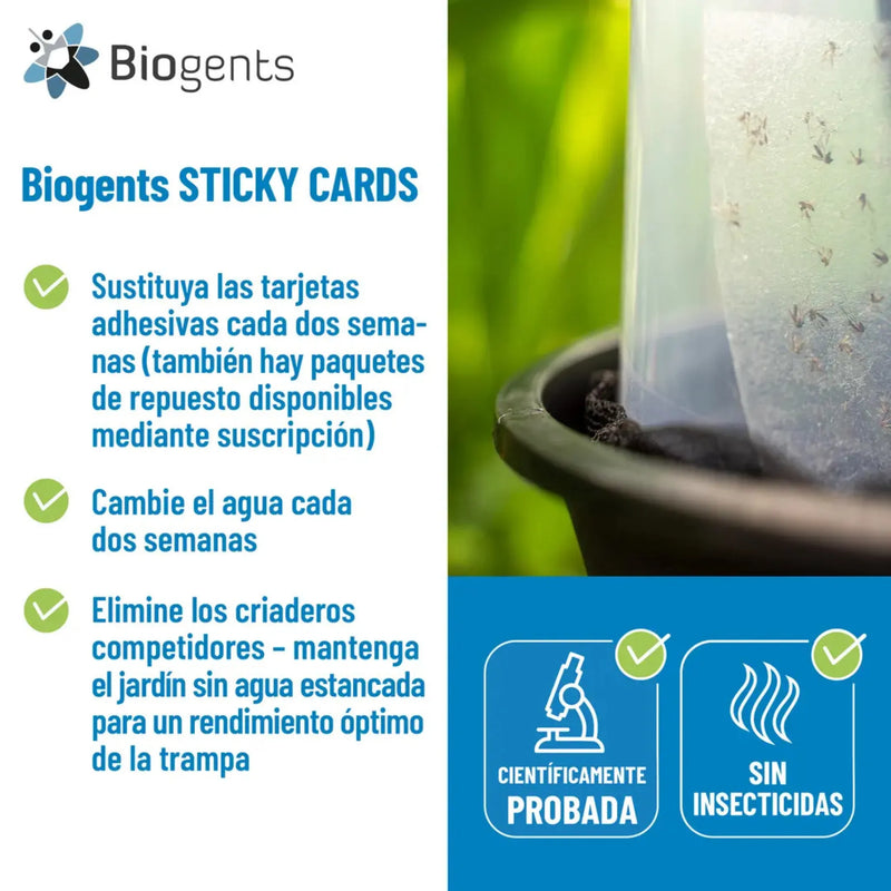 Pack 10 unidades recambios adhesivos para mantener la eficacia de la trampa BG-GAT